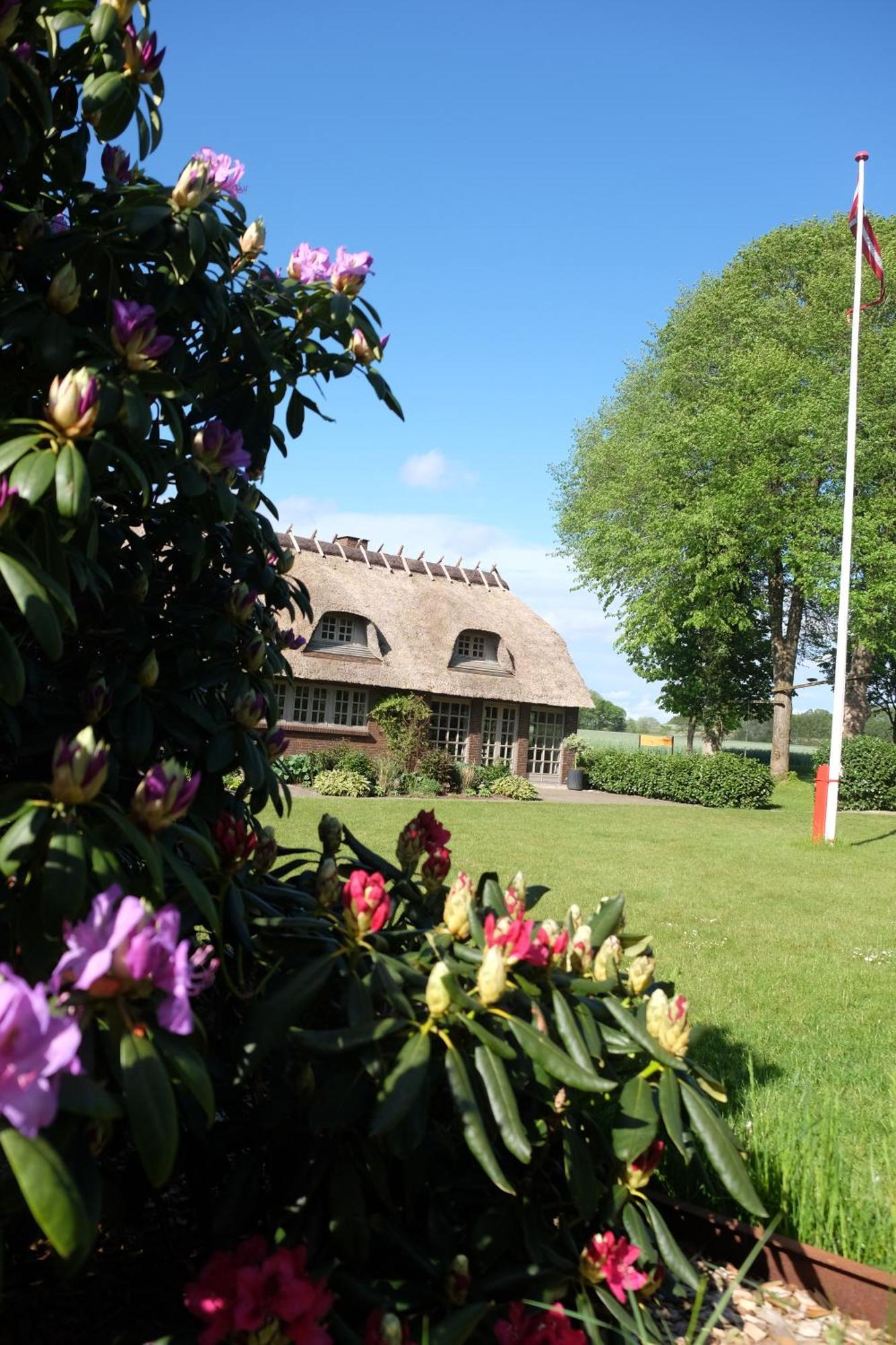 Billund Rooms Kültér fotó